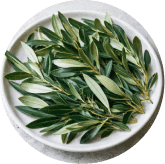 MemoVolt Ingredients